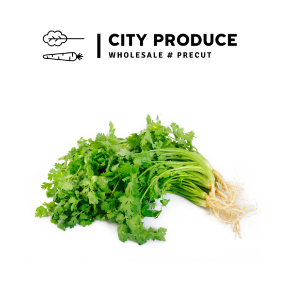 City Produce Coriander 100g
